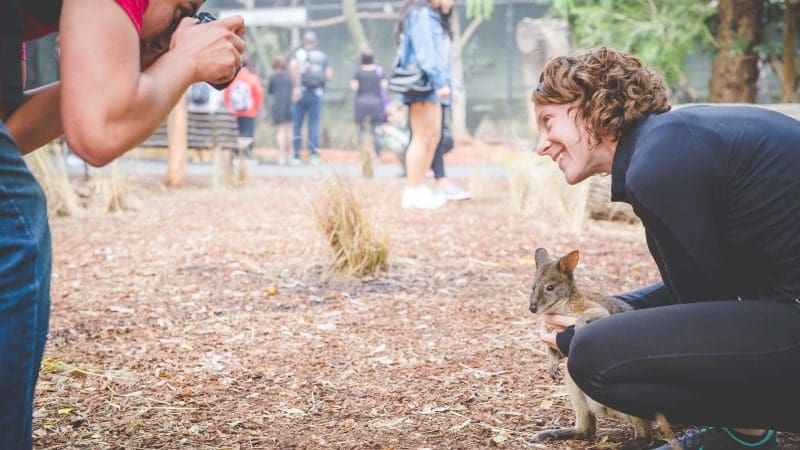A happy woman poses with a kangaroo for a photo during an Uncharted Blue Mountains Tour at an Australian wildlife park.