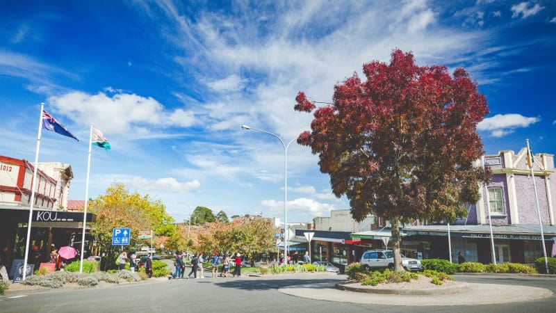 Charming small-town street lined with boutique shops, vibrant flags, and locals—ideal for an Uncharted Blue Mountains Tour.