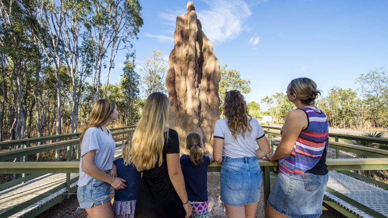 Group of five tourists on a Litchfield National Park walkway marvel at a towering termite mound beneath vibrant blue Australian skies.