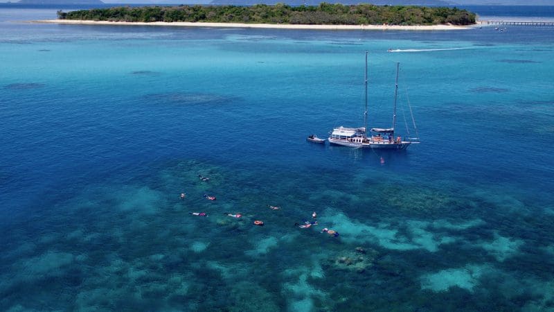Ocean Free sailboat by Green Island coral reef, vibrant snorkellers enjoying clear blue waters on a Great Barrier Reef day tour adventure.