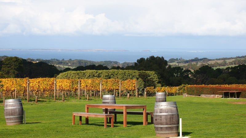 Yarra Valley winery tour: rustic wooden table and benches beside lush vineyards, scenic rolling hills, and dramatic cloudy skies.