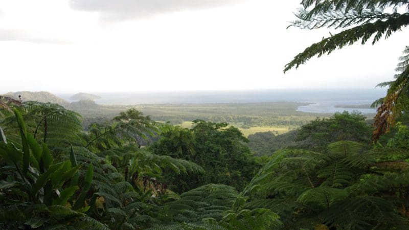 Views of the lanscape out around cape tribulation