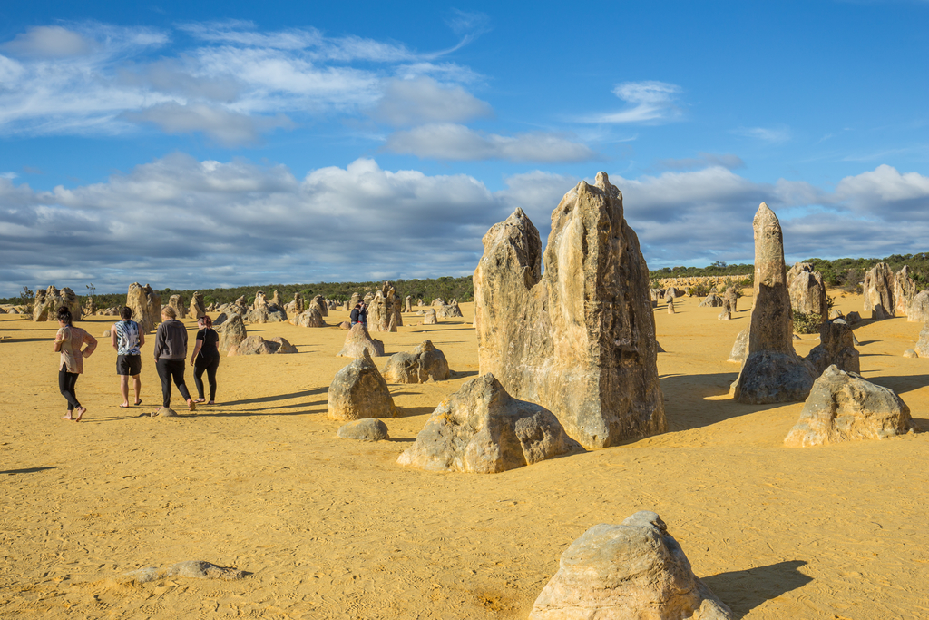 Travellers discover towering limestone pillars amid golden desert sands on the 10 Day Broome to Perth West Coast Adventure tour.