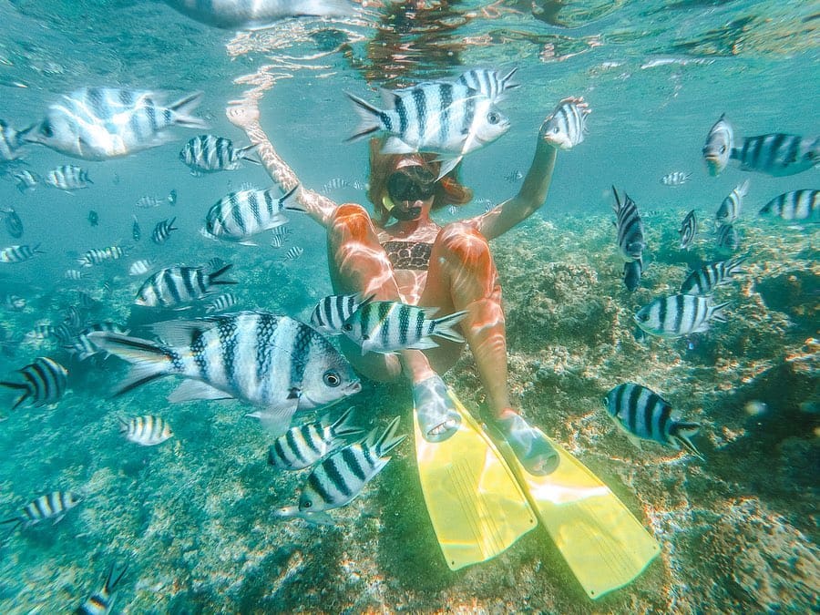 Picture of woman snorkelling in the Great Barrier Reef with Striped fish