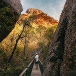 Discover the breathtaking scenery of Kakadu and Litchfield as a traveller explores sunlit cliffs from a wooden walkway on a 3-day 4WD tour.