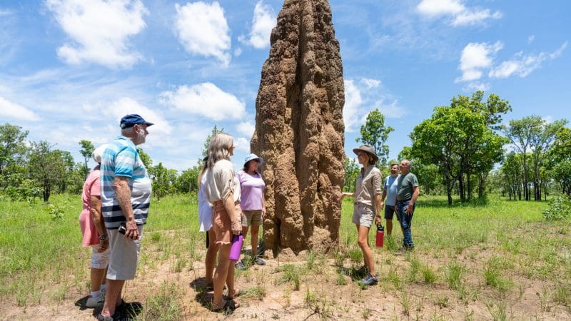 Travellers examine an impressive termite mound on a 1 Day Litchfield National Park and Fogg Dam Wetlands guided tour in Australia.