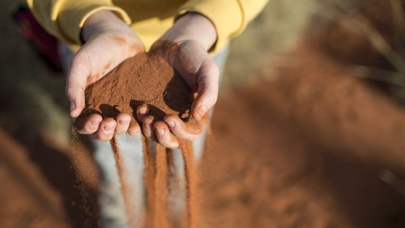 Close-up of a person in a yellow sleeve letting red sand cascade through their fingers during a 4 Day Uluru to Alice Springs tour.