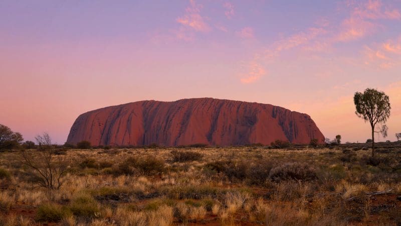 Stunning Uluru rock formation glowing at sunset on a 2 Day Uluru Kata Tjuta Tour, departing from Ayers Rock Resort Yulara.