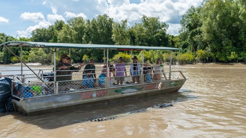 Experience a thrilling Half Day Jumping Crocodile Tour from Darwin, getting close to crocodiles on a muddy river beneath clear blue skies.