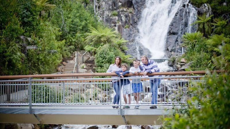 Family of four admires breathtaking bridge view on Lake Mountain Snow Waterfalls 1 Day Tour from Melbourne, perfect getaway.