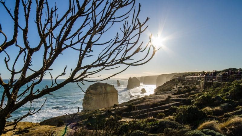 Stunning sunset view of the Twelve Apostles along Great Ocean Road, Melbourne tour, with silhouetted tree framing dramatic coastline.