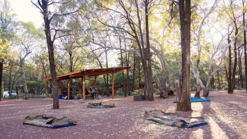 Scenic outdoor campsite on the 7 Day Uluru to Adelaide Untamed Escapes tour, featuring swags and a rustic wooden shelter beneath tall trees.