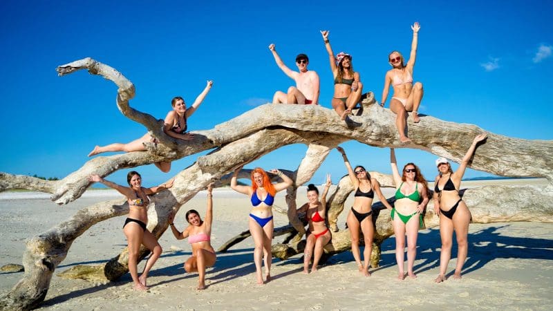 A group of ten friends in swimwear pose on sunlit driftwood during their Whitsundays group trip