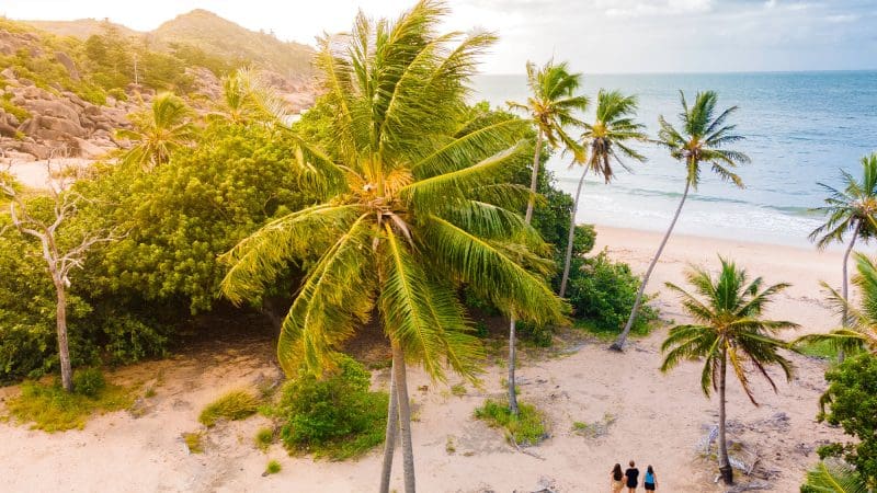 Stunning tropical beach with lush palm trees, vibrant greenery, and three adventurers enjoying their 28 Day Oz East Coast Adventure.