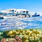 Experience a spacious tour boat beside the Reef Magic Outer Barrier Reef Pontoon, cruising over vibrant coral reefs on a sunny day.