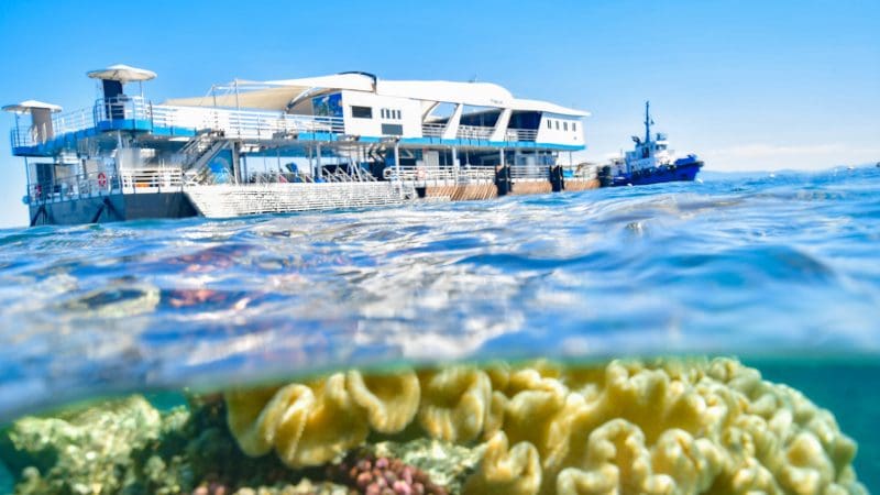 Experience a spacious tour boat beside the Reef Magic Outer Barrier Reef Pontoon, cruising over vibrant coral reefs on a sunny day.