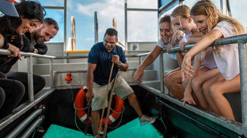 Group on a boat peers through glass floor at vibrant blue water by Reef Magic Outer Barrier Reef Pontoon, exploring marine life beneath.