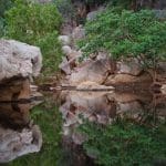 Scenic view of towering rocks and lush green trees mirrored in tranquil water on a Broome to Darwin 10 Day 4WD Kimberley Adventure.