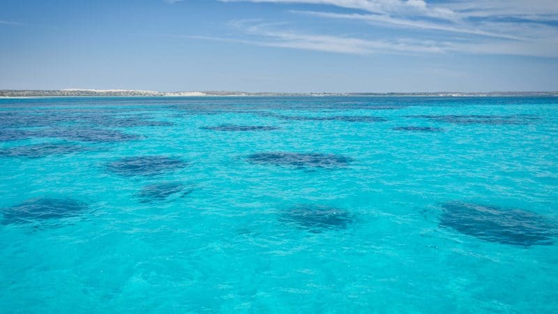 Vibrant turquoise ocean stretches beneath a clear blue sky, echoing the breathtaking coastal vistas of Perth to Ningaloo Reef route.