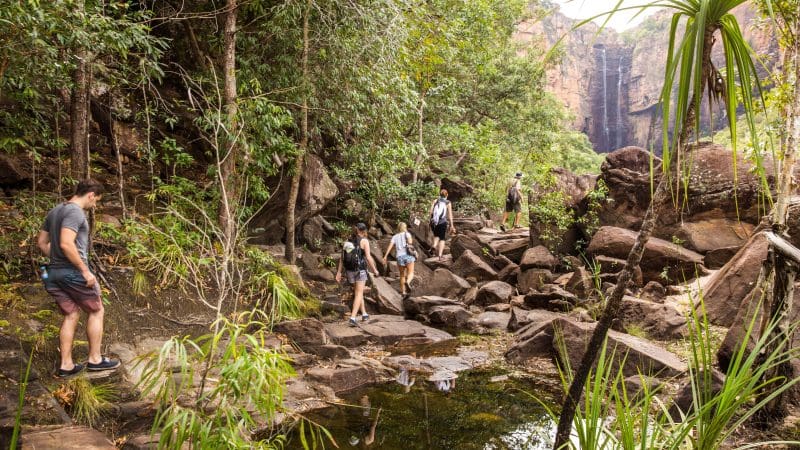 Travellers embark on a Kakadu Family Tour in Katherine and Litchfield, trekking through lush rainforest towards a scenic waterfall view.