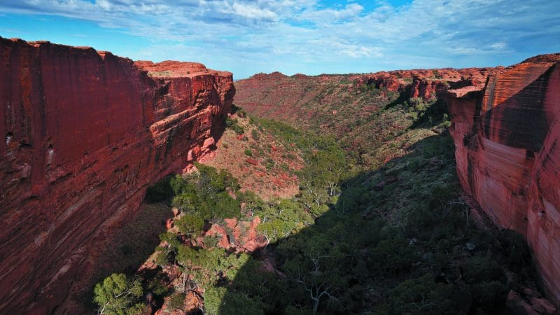 Majestic canyon with towering red rock cliffs and verdant trees—iconic landscape for a 3 Day Uluru Adventure Alice Springs return.