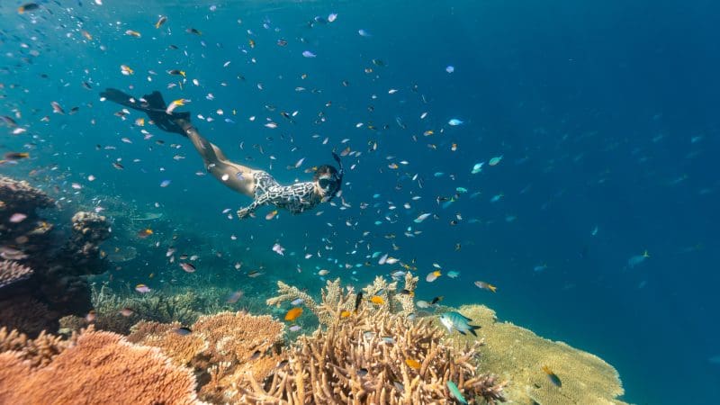 Experience a Wild Cat 1 Day Outer Reef Snorkel Adventure as you swim among vibrant coral reefs and colourful tropical fish.