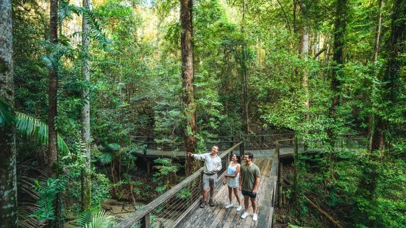 Three visitors walk on a scenic wooden boardwalk in K'gari's vibrant forest during the Illumina 3-Day Getaway eco-adventure event.