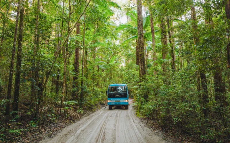 A blue bus drives along a sandy road amid dense forest on the Kgari 2 Day Tour departing from Rainbow Beach, showcasing nature.