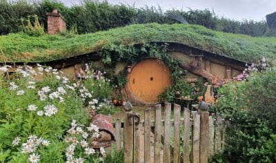 Charming house with vibrant green roof, colourful garden blooms, and a unique Funky Chicken statue displayed in the sunny front garden.