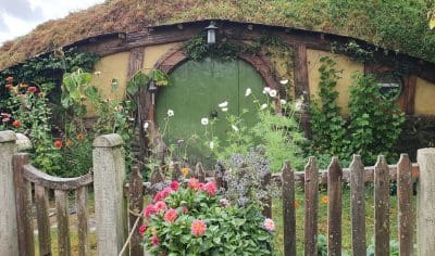 Vivid green door framed by lush garden foliage, vibrant leaves, and flowers—a charming garden entryway scene rich in colour.