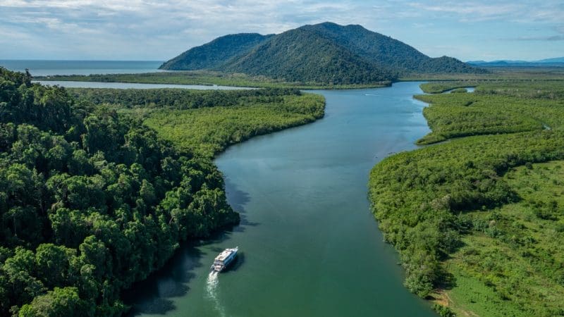 Experience the Frankland Island Express Tour as a boat cruises a winding river, surrounded by lush rainforest and scenic green hills.