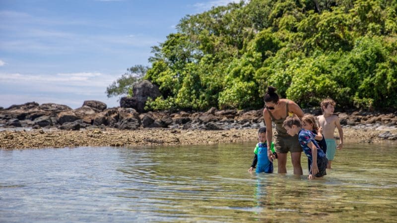Family enjoying crystal-clear waters on a Frankland Island All-Inclusive Tour by lush, rocky shoreline—perfect tropical getaway.