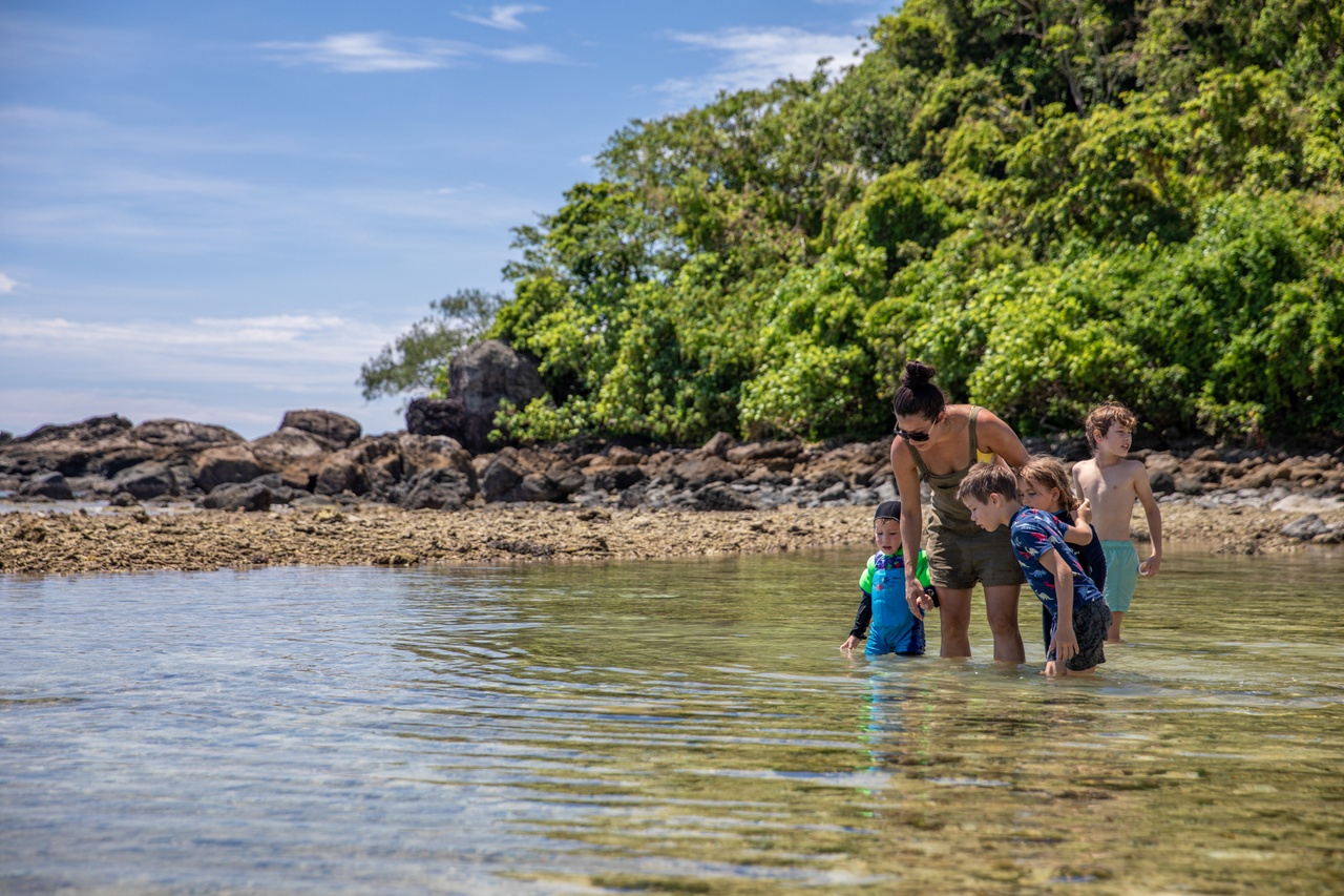 Family enjoying crystal-clear waters on a Frankland Island All-Inclusive Tour by lush, rocky shoreline—perfect tropical getaway.