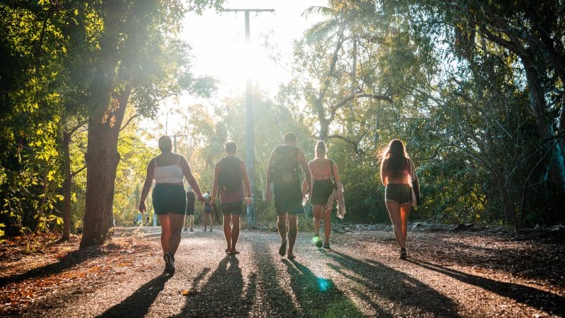 Five travellers walk along a sunlit forest trail on the Fully Guided Ultimate East Coast Sydney to Cairns 6 Weeks 2 adventure tour.