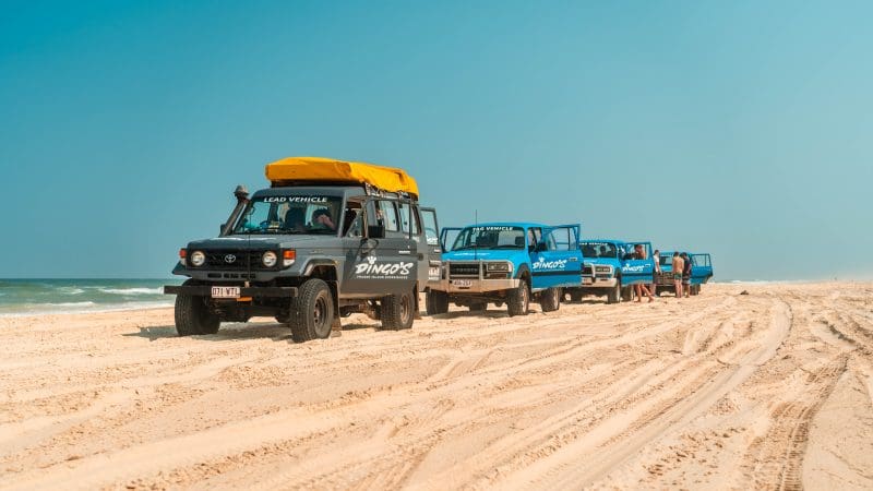 Experience the thrill of four 4WD vehicles driving along a pristine sandy beach beneath clear blue skies on the Sydney to Cairns tour.