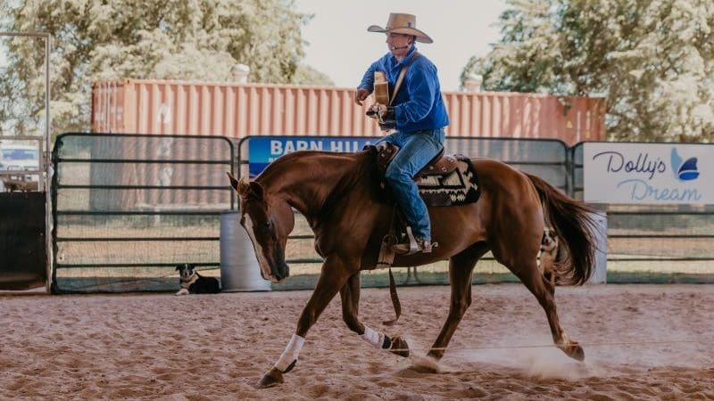 Experience the thrilling 2 Hour Outback Show as a cowboy-hatted man expertly rides a horse and plays guitar in a sandy arena.