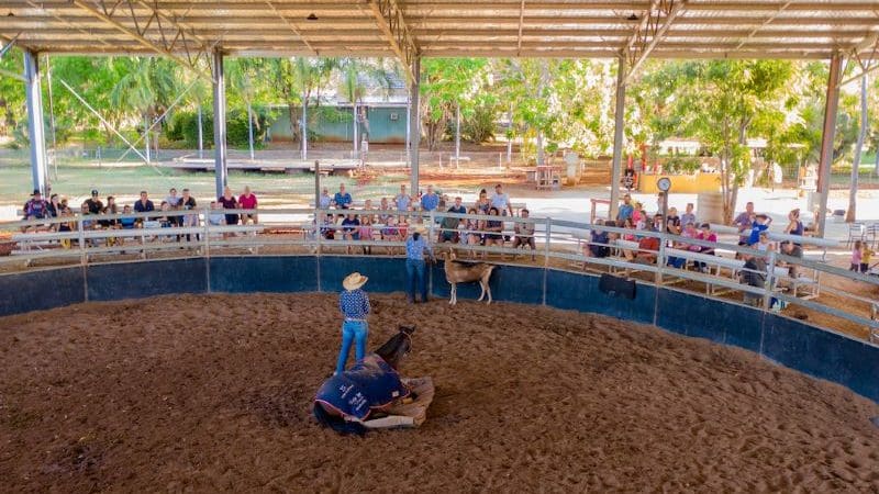 Spectators observe two skilled handlers managing cattle in a spacious covered arena during a thrilling 2 Hour Outback Show event.