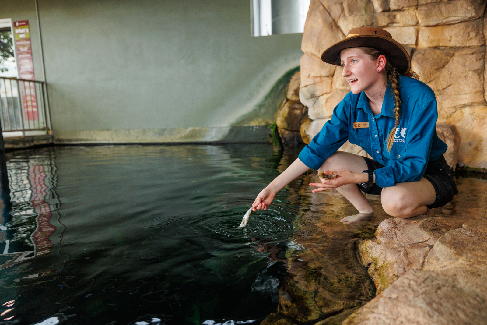 A woman in a blue shirt and hat kneels by an indoor swimming pool, feeding the water for her Whipray Encounter Entry of the Day.