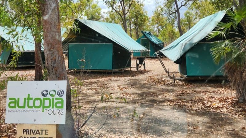 Secluded green tents nestled beneath lush trees at a private campsite on the 5 Day Kakadu Katherine Gorge Litchfield 4WD Darwin tour.