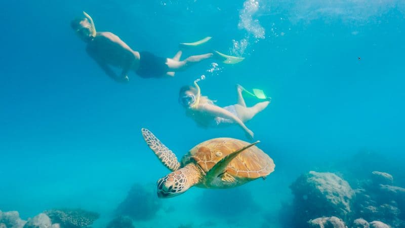 Snorkellers explore vibrant coral reefs alongside a sea turtle in Green Island’s crystal-clear blue waters, perfect for marine adventure.