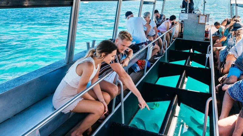 Tourists snorkel and ride a glass-bottomed boat at Green Island, observing vibrant fish in crystal-clear turquoise waters under sunny skies.