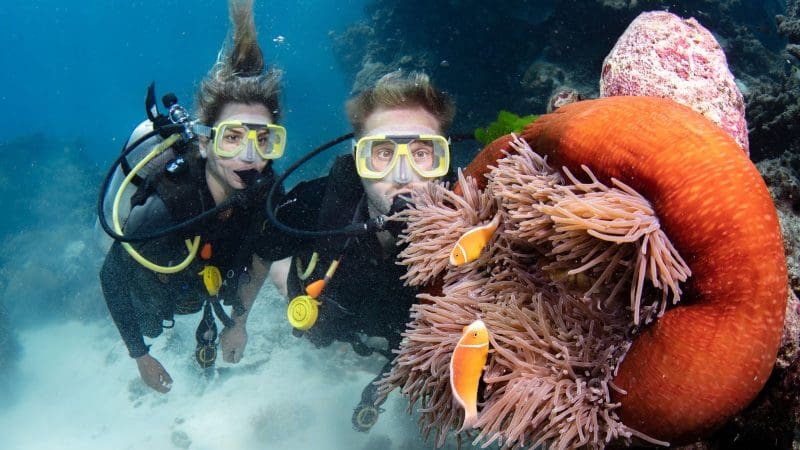 Scuba divers observe colourful clownfish in sea anemones on the Silverswift Outer Barrier Reef Snorkel and Dive Cruise, Great Barrier Reef.