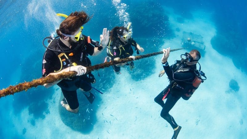 Scuba divers on the Silverswift Outer Barrier Reef Cruise high-five over a pristine sandy ocean floor, showcasing reef adventure.