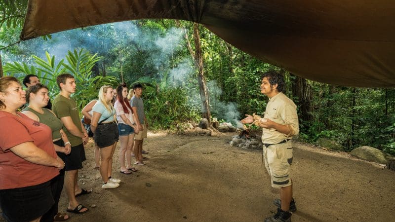 Expert guide escorts guests on a Private Exclusive Daintree Mossman Tour beneath dense rainforest canopy in vibrant tropical paradise.