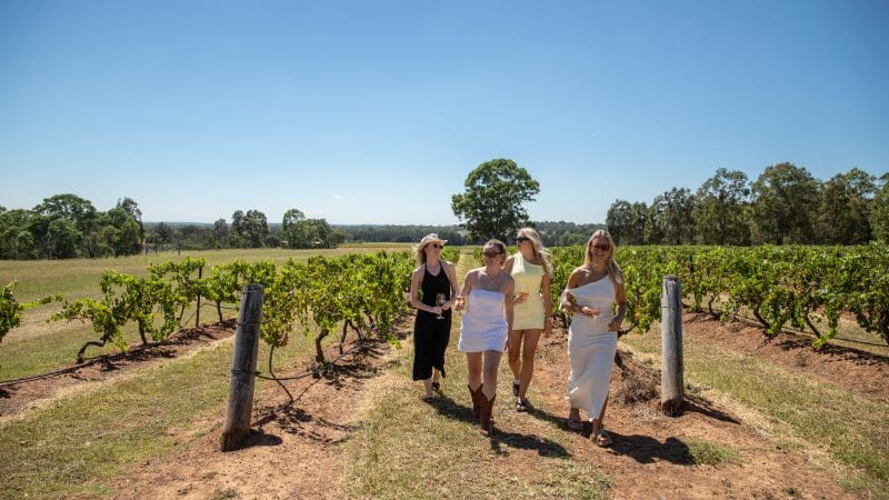Four women savour wine and laughter on a Hunter Valley Signature Wine Tour, surrounded by lush vineyard rows and scenic landscapes.