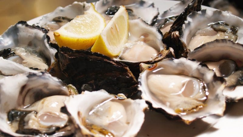 Fresh Bruny Island oysters on the half shell, beautifully plated—must-try seafood on your ultimate Bruny Island food and lighthouse tour.