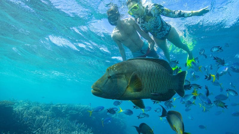Couple snorkelling