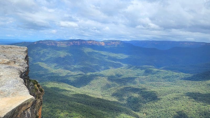 Breathtaking panoramic view of lush Blue Mountains forest, scenic waterfall walk, and vibrant social lunch on a top-rated day tour.