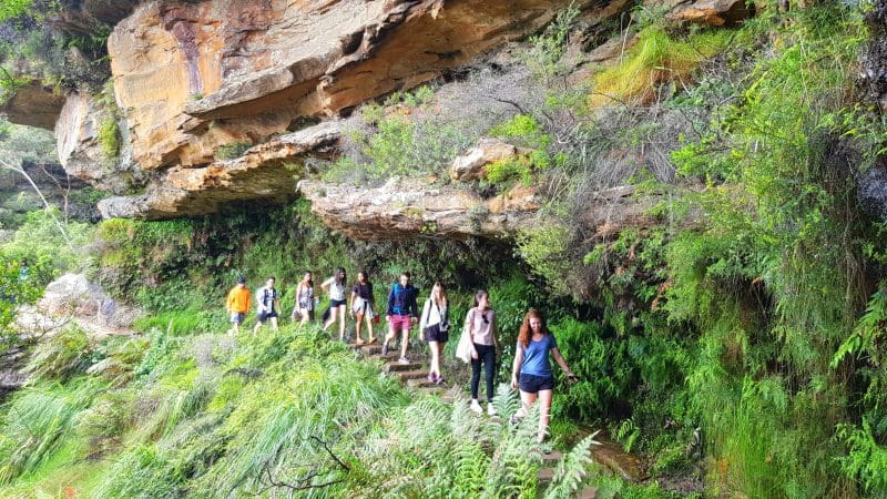 Travellers hike scenic stone steps on a Blue Mountains tour, exploring lush rainforest trails and majestic waterfalls beneath rocky cliffs.