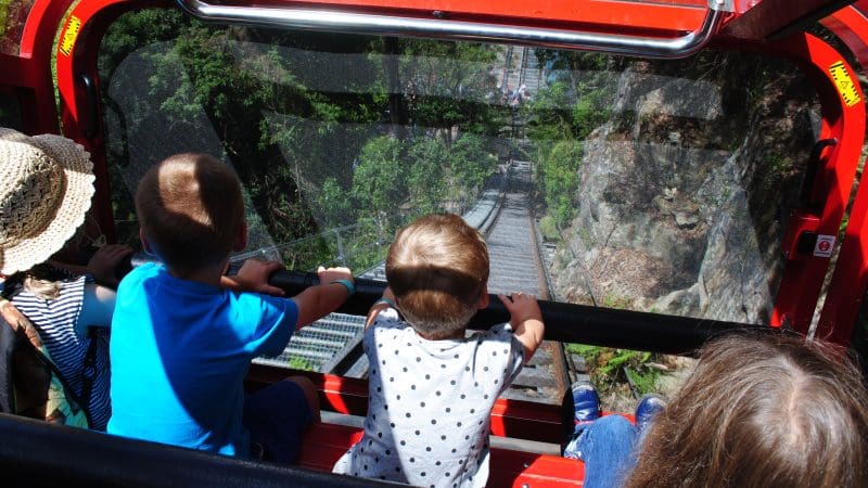 Children on the Lyrebird Pass Hop On Hop Off ride look out of glass windows at scenic railway tracks and lush forested cliffs below.